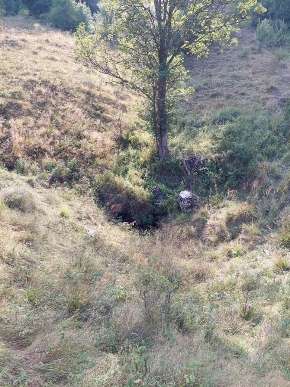 Peștera Întunecoasă din Poiana Roșchii - Avenul Stâna lui Ivaşcu - Foto: Ghita iancu